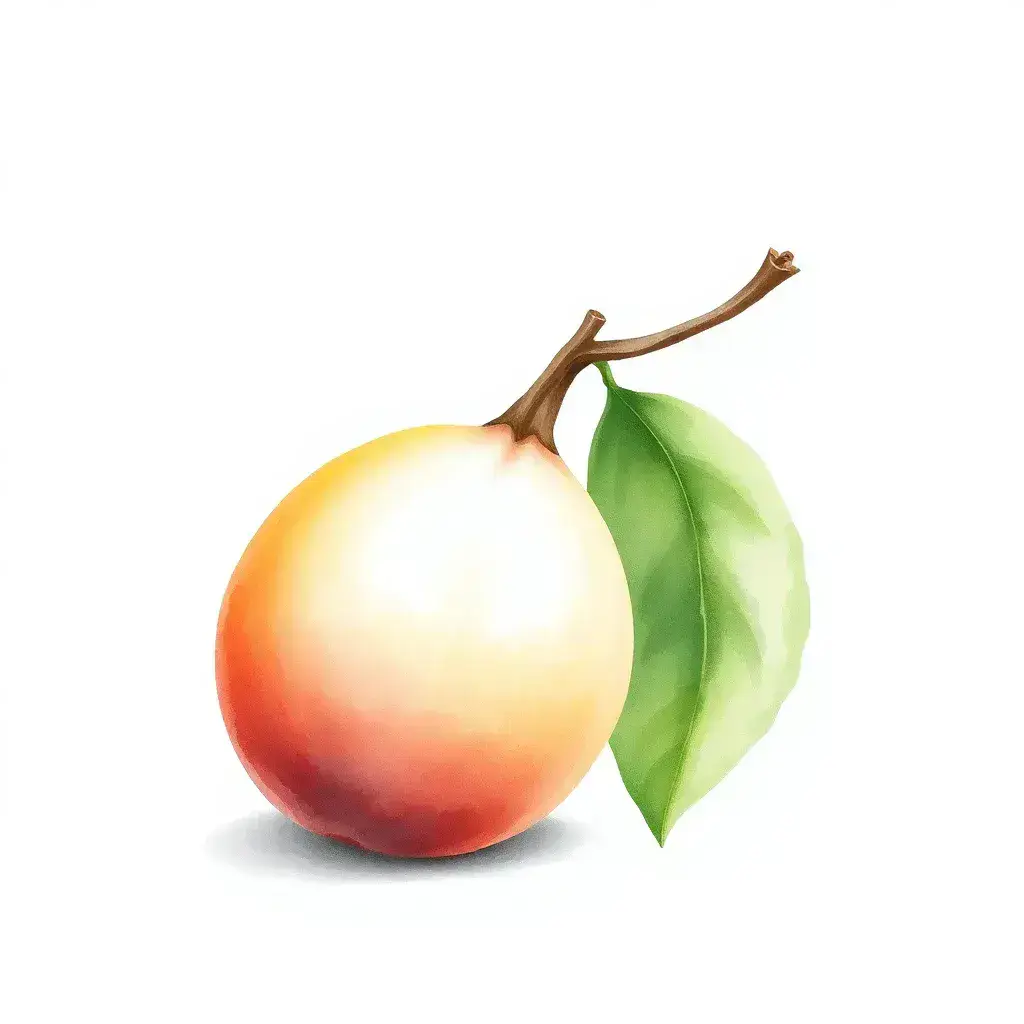 フェイジョア