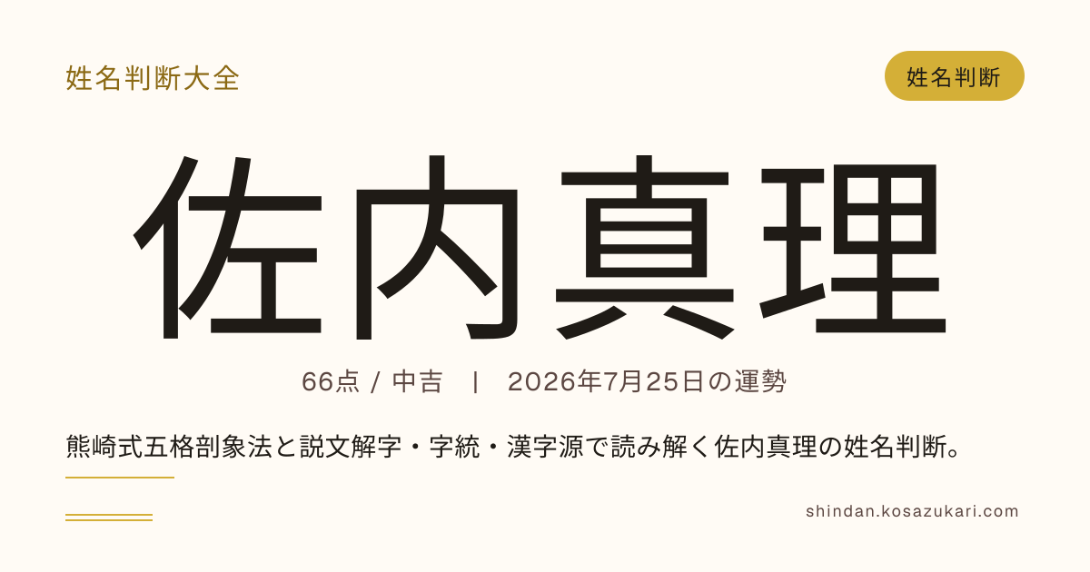 【期間セール中】命名真理 姓名判断 林光胤 佐内 真理 - 姓名判断