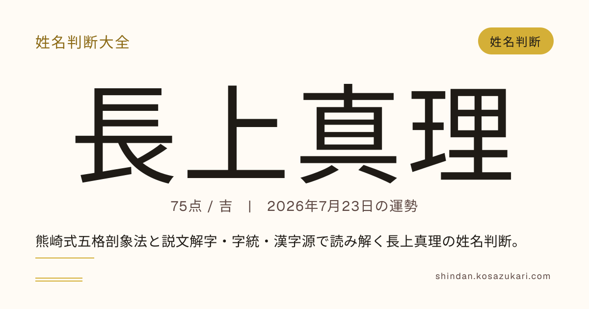 【期間セール中】命名真理 姓名判断 林光胤 長上 真理 - 姓名判断