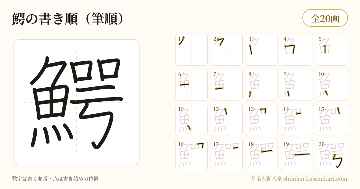 鰐の書き順(筆順)・20画を一画ずつ番号つきで示した図